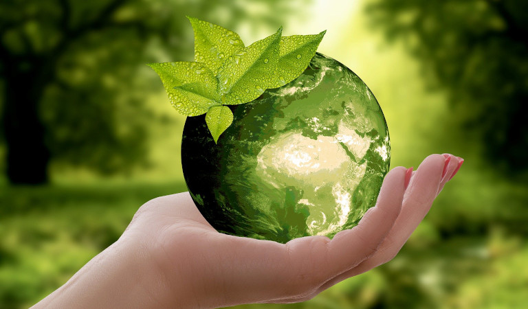 Grüne Welt in Menschenhand